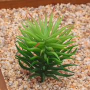 Colorful Flocking Succulent Set: 12 Artificial Mini Bonsai Plants for Home, Garden, Office, and Wedding Decor