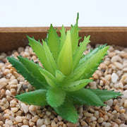 Colorful Flocking Succulent Set: 12 Artificial Mini Bonsai Plants for Home, Garden, Office, and Wedding Decor