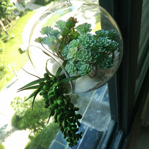 Lifelike Artificial Succulent Desktop Bonsai - Perfect Wedding Decoration