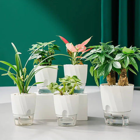 Smart Double-Layer Hydroponic Self-Watering Flower Pot for Office Spaces